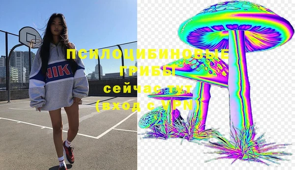 амфетамин Лабытнанги