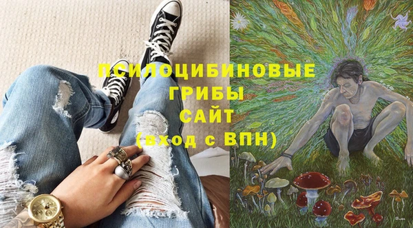 спайс Лагань