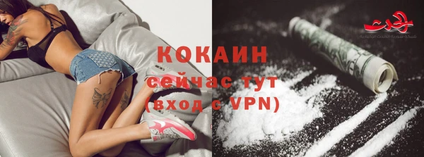 спайс Лагань