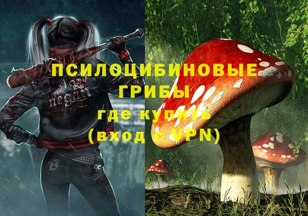спайс Лагань