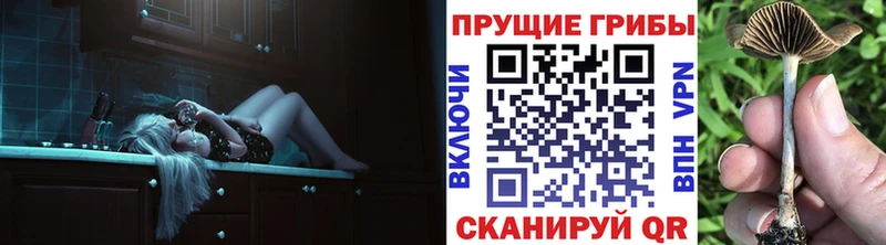 Псилоцибиновые грибы Magic Shrooms  Купить где  Киржач 